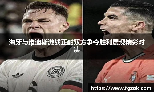 海牙与维迪斯激战正酣双方争夺胜利展现精彩对决